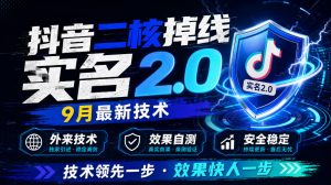 抖音二核掉线十名2.0,9月最新技术,外来技术,效果自测-淘金日记