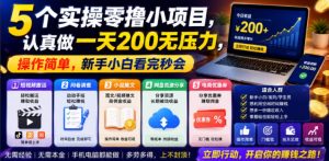 5个实操零撸小项目，认真做一天200无压力，操作简单，新手小白看完秒会【揭秘】-淘金日记