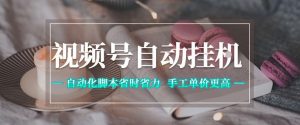 视频号自动挂G项目,自动化脚本省时省力,手工单价更高,日入300+全网最稳【揭秘】-淘金日记