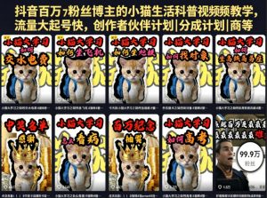 抖音百万粉丝博主的小猫生活科普视频教学,流量大起号快,创作者伙伴计划|分成计划|商单|收徒等-淘金日记
