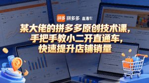 某大佬的拼多多原创技术课，手把手教小二开直通车，快速提升店铺销量-淘金日记