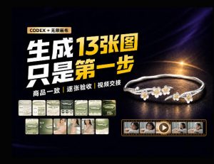 一张商品图,跑出13张电商图和15秒视频方案:这套Skill到底怎么工作?-淘金日记