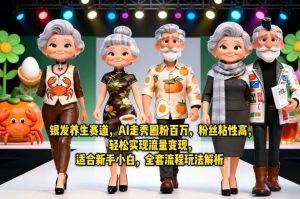 银发养生赛道,AI走秀圈粉百万,粉丝粘性高,轻松实现流量变现,适合新手小白,全套流程玩法解析-淘金日记