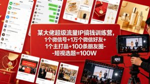 某大佬超级流量IP搞钱训练营,1个微信号+1万个微信好友+1个主打品+100条朋友圈-短视选题=100W-淘金日记