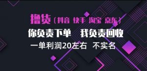 抖音淘宝快手买手项目，一单利润20左右，单号每天下三单，可矩阵【揭秘】-淘金日记