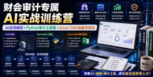 财会审计专属AI实战训练营|AI协同编程+Python审计工具箱+Excel VBA加载项落地-淘金日记