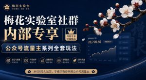 梅花实验室社群内部专享-公众号流量主系列全套玩法-淘金日记