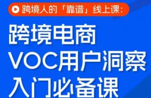 跨境电商VOC用户洞察入门必备课,跨境人的靠谱线上课-淘金日记