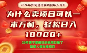 一单净利润1K+,26年想年入100个W,死磕卖项目就够了【揭秘】-淘金日记