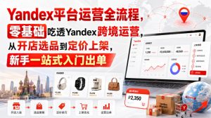 Yandex平台运营全流程，零基础吃透Yandex跨境运营，从开店选品到定价上架，新手一站式入门出单-淘金日记