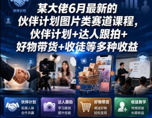 某大佬6月最新的伙伴计划图片类赛道课程,伙伴计划+达人跟拍+好物带货+收徒等多种收益-淘金日记
