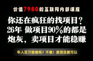 26年请不要疯狂的找项目了，卖项目远比你想象的暴利，你也可以月入10W+【揭秘】-淘金日记