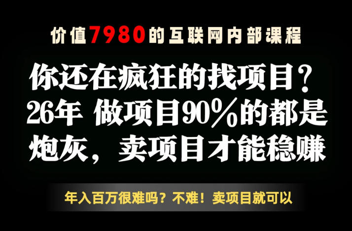 26年请不要疯狂的找项目了，卖项目远比你想象的暴利，你也可以月入10W+【揭秘】-淘金日记