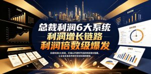 总裁利润6大系统,打通从开源到节流的利润增长链路,让企业在复杂市场中实现利润倍数级爆发-淘金日记