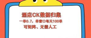 上班也能玩的酒店CK数据归集,一单0.7单窗口每天可做100单,一个人就能矩阵操作【揭秘】-淘金日记