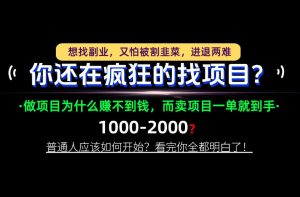 你还在疯狂的找项目?别傻了!卖项目才是真正的一本万利!怎么做,看完你全都明白!【揭秘】-淘金日记