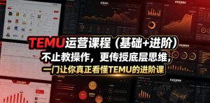 TEMU运营课程(基础+进阶),不止教操作,更传授底层思维,一门让你真正看懂TEMU的进阶课-淘金日记