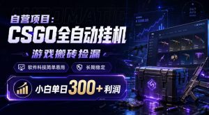 自营项目：CSGO全自动挂G，游戏搬砖捡漏，软件科技简单易用，长期稳定，小白单日300+利润【揭秘】-淘金日记