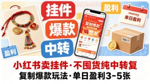 小红书卖挂件,不囤货纯中转复制爆款玩法,单日盈利3-5张-淘金日记