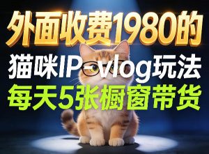 宠物赛道猫咪IP-vlog玩法,26条视频涨粉29W,每天5张橱窗带货拆解-淘金日记