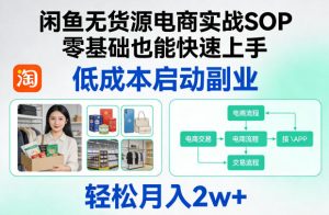 闲鱼无货源电商实战SOP,零基础也能快速上手,低成本启动副业,轻松月入2w+-淘金日记