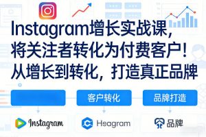Instagram增长实战课，将关注者转化为付费客户！从增长到转化，打造真正品牌（双语字幕）-淘金日记
