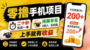 零撸手机项目,二十秒完成一单,纯薅羊毛,上手就有收益,勤快点单日收益可达200+【揭秘】-淘金日记