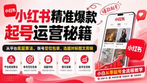 小红书精准爆款起号运营秘籍，从平台底层算法、账号定位包装、选题对标图文剪辑，小白从零起号全流程-淘金日记