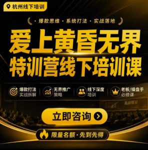 爱上黄昏无界特训营AI推广实战7月27-30杭州线下课,AI落地淘宝最完整的课程,学天猫淘宝的老板必看-淘金日记