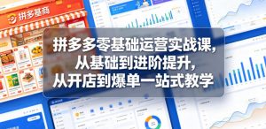 拼多多零基础运营实战课,从基础到进阶提升,从开店到爆单一站式教学-淘金日记