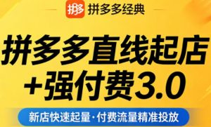 拼多多直线起店+强付费3.0，教你稳定起店、高效控投产、破解流量瓶颈（更新6月）-淘金日记