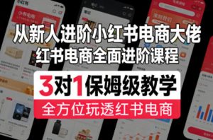 从新人进阶小红书电商大佬,红书电商全面进阶课程,3对1保姆级教学,全方位玩透红书电商-淘金日记