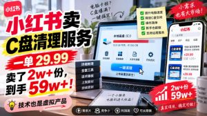 小红书卖C盘清理服务，一单29.99，卖了2w+份，技术也是虚拟产品-淘金日记