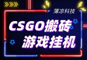 CSGO游戏挂G游戏搬砖最新升级,普通小白一部手机可日入3张+当天见结果,支持验证【揭秘】-淘金日记