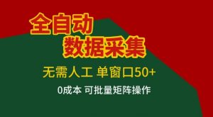 全自动数据采集项目,无需人工,单窗口可达50+收益,操作简单无难度,一个人也能轻松实现矩阵【揭秘】-淘金日记