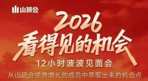 2026看得见的机会,剖析十几个实战案例,可直接抄作业,再优化迭代,内容超全,干货满满-淘金日记