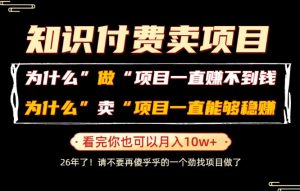普通人为什么能够靠卖项目轻松月入10W+，而做项目却容易成炮灰，卖项目为什么能够稳賺不赔？【揭秘】-淘金日记