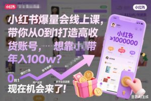 小红书爆量会线上课,带你从0到1打造高收益带货账号,想靠小红书带货年入100w?现在机会来了!(更新)-淘金日记