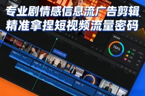 专业剧情感信息流广告剪辑，精准拿捏短视频流量密码-淘金日记