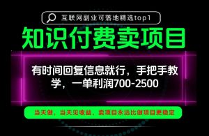 一单利润700-2.5k,有时间回信息就行,手把手带你做知识付费卖项目!一天稳定2-3单!【揭秘】-淘金日记