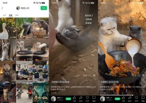 猫咪慢生活短视频教学，AI搞笑萌宠赛道，视频号分成+精选独家+伙伴计划+商单收徒等多种变现方式-淘金日记