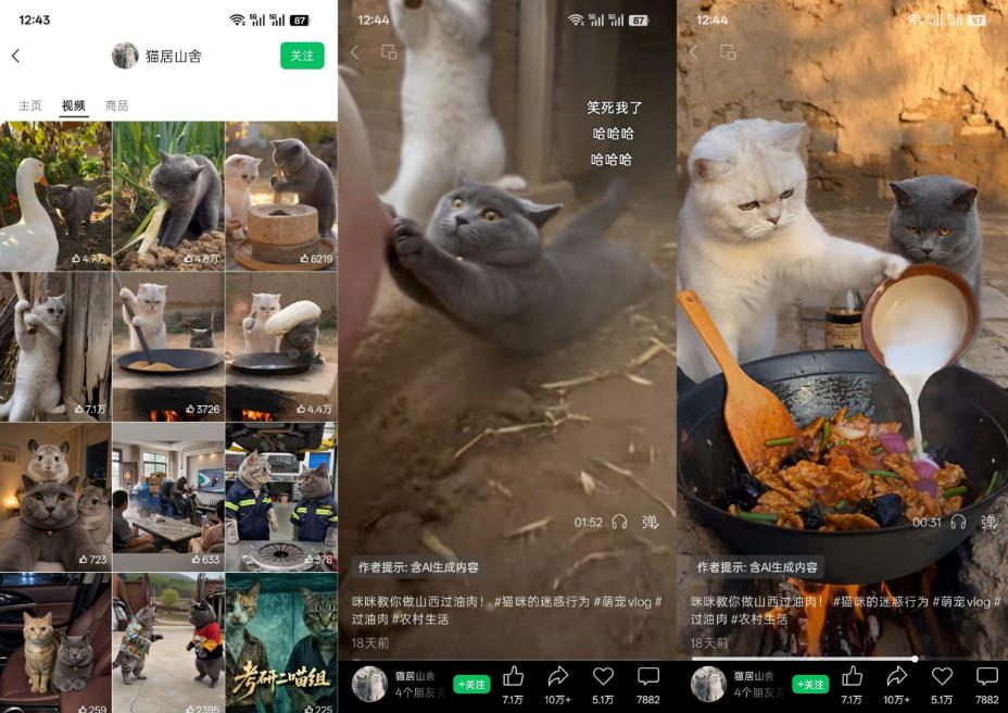 猫咪慢生活短视频教学，AI搞笑萌宠赛道，视频号分成+精选独家+伙伴计划+商单收徒等多种变现方式-淘金日记