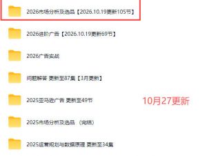 2026亚马逊视频教程,学习我们的商业模式,以及2026最新的选品及运营经验(更新1027)-淘金日记