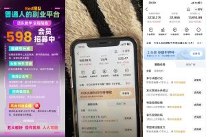 收费598的Red团队普通人副业陪跑，视频号、公众号、头条、百度、快手多平台矩阵变现，新手小白也能月入1W-淘金日记