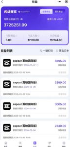 海外TikTok剪映cupcut拉新,市场广阔,潜力巨大,月入1w+,适合TK创作者的新机会-淘金日记