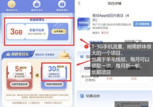 手机流量领取推广_每月一轮,刚需类的长期项目-淘金日记