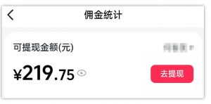 AI图文带货项目，操作2周卖出37件，已结算佣金219-淘金日记