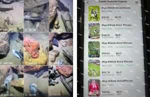 Tiktok中视频解说教程,体育+温情文案双赛道实操教程一站式带你落地,教你出海賺美刀-淘金日记