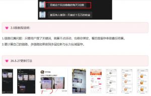 KS项目2.0期-拆本周结1W项目思路，几张图撬动流量群体，真的生猛-淘金日记