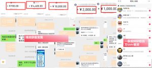 IP+爆款视频训练营,带你用最低成本跑通个人IP从0到1涨粉,从流量到现金的完整闭环-淘金日记